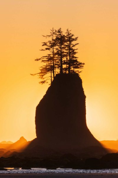 brilliant sun on rock with tree