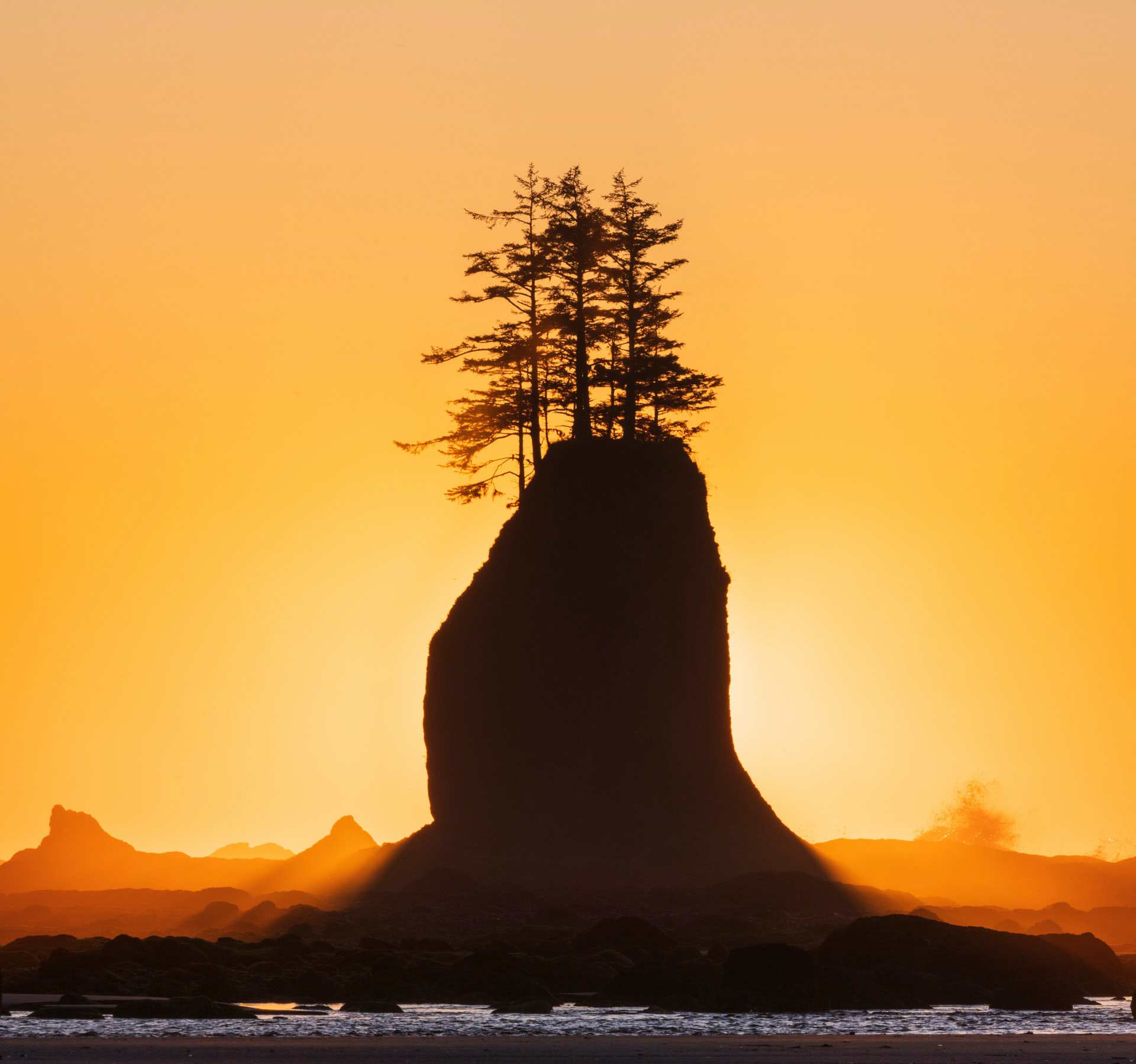 brilliant sun on rock with tree